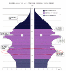 日本の人口ピラミッド.GIF